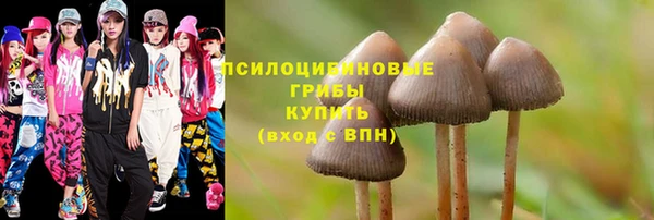 бошки Балахна